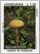 Colnect-3106-858-Amanita-rubescens-The-blusher.jpg