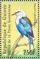 Colnect-3804-337-Blue-bellied-Roller-Coracias-cyanogaster.jpg