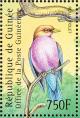 Colnect-3804-338-Broad-billed-Roller-Eurystomus-glaucurus.jpg