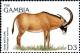 Colnect-5951-688-Roan-antelope.jpg