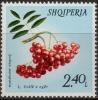 Colnect-2626-974-Rowan-berries.jpg