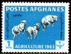 Colnect-1444-684-Karakul-Sheep-Ovis-ammon-aries.jpg