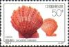 Colnect-1480-071-Farrer--s-Scallop-Chlamys-farreri.jpg