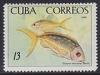 Colnect-1621-933-Yellowtail-Snapper-Ocyurus-chrysurus.jpg