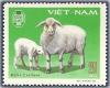 Colnect-1625-801-Domestic-Sheep-Ovis-ammon-aries.jpg