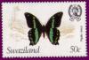 Colnect-1706-373-Green-banded-Swallowtail-Papilio-nireus.jpg