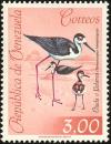 Colnect-1811-007-Black-necked-Stilt-Himantopus-himantopus.jpg