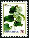 Colnect-1854-392-Smilax-ocreata.jpg