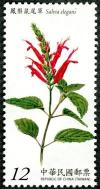 Colnect-1854-403-Salvia-elegans.jpg