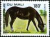 Colnect-2000-323-Horse-from-the-Sea-Zone-Equus-ferus-caballus.jpg