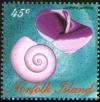 Colnect-2472-982-Common-Purple-Sea-Snail-Janthina-janthina.jpg