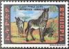 Colnect-2771-426-Grevy--s-Zebra-Equus-grevyi.jpg