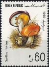 Colnect-2943-491-Suillus-luteus.jpg