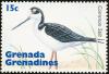 Colnect-2949-626-Black-necked-Stilt-Himantopus-mexicanus.jpg