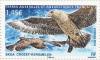 Colnect-3199-298-Brown-Skua-Stercorarius-antarcticus.jpg