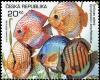 Colnect-3737-195-Blue-Discus-Symphysodon-aequifasciatus.jpg