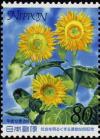 Colnect-3937-566-Sunflowers---1.jpg