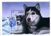 Colnect-4127-073-Siberian-husky.jpg