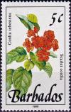 Colnect-4186-327-Scarlet-cordia.jpg