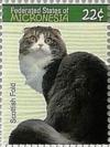 Colnect-5692-972-Scottish-Fold.jpg