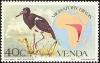 Colnect-751-632-Abdim-s-Stork-Ciconia-abdimii.jpg