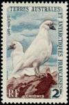 Colnect-885-956-Black-faced-sheathbill-Chionis-minor.jpg