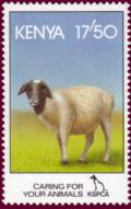 Colnect-1331-854-Domestic-Sheep-Ovis-ammon-aries.jpg