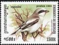 Colnect-1527-014-Northern-Shrike-Lanius-excubitor.jpg