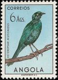 Colnect-1762-546-Sharp-tailed-Glossy-Starling-Lamprotornis-acuticaudus.jpg