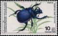 Colnect-2754-548-Purple-Horn-Scarab-Anoplotrupes-sharpi.jpg