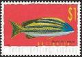 Colnect-3092-224-Bluestripe-Snapper-Lutjanus-kasmira.jpg