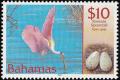 Colnect-577-593-Roseate-Spoonbill-Ajaja-ajaja.jpg