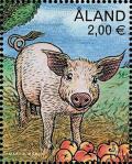 Colnect-6079-849-Piglet-Sus-scrofa-domesticus.jpg