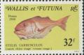 Colnect-897-378-Deepwater-Red-Snapper-Etelis-carbunculus.jpg