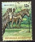 Colnect-981-008-Grevy--s-Zebra-Equus-grevyi.jpg