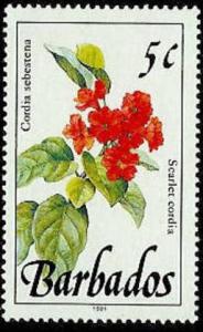 Colnect-1767-886-Scarlet-cordia.jpg