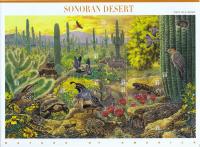 Colnect-2065-708-Sonoran-Desert.jpg