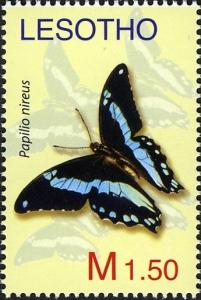 Colnect-1618-664-Green-banded-Swallowtail-Papilio-nireus.jpg