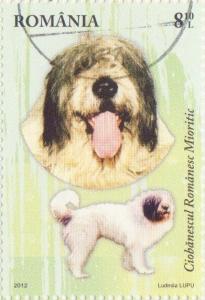 Colnect-1340-686-Romanian-Mioritic-Shepherd-Canis-lupus-familiaris.jpg