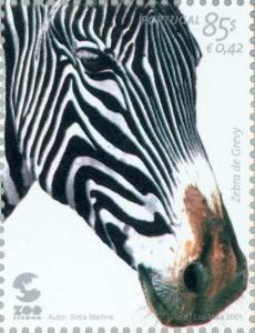 Colnect-182-535-Grevy--s-Zebra-Equus-grevyi.jpg