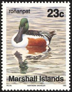 Colnect-1599-530-Northern-Shoveler-Anas-clypeata.jpg