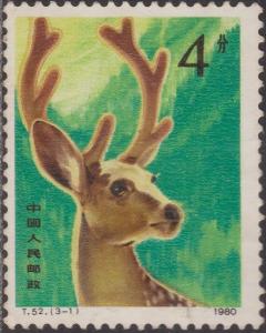 Colnect-1457-468-Sika-Stag-Cervus-nippon.jpg