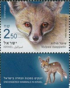 Colnect-5796-044-R%C3%BCppell-s-Fox-Vulpes-rueppellii.jpg