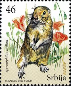 Colnect-5090-230--European-Ground-Squirrel-Spermophilus-citellus.jpg