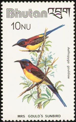 Colnect-1412-519-Mrs-Gould--s-Sunbird-Aethopyga-gouldiae.jpg