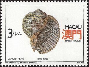 Colnect-1484-698-Sea-Snail-Tonna-zonata.jpg