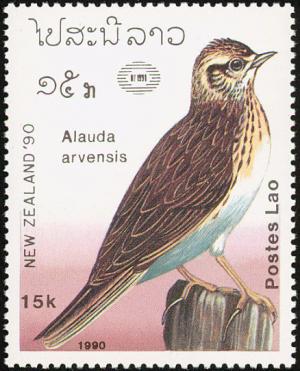 Colnect-1614-675-Eurasian-Skylark-Alauda-arvensis.jpg