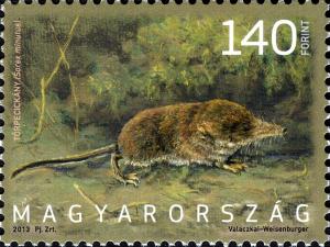 Colnect-1897-353-Pygmy-shrew-Sorex-minutus.jpg