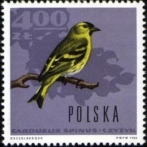 Colnect-2091-709-Eurasian-Siskin-Carduelis-spinus.jpg