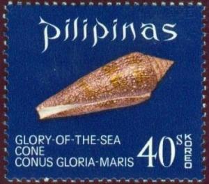 Colnect-2212-180-Glory-of-the-Sea-Cone-Conus-gloriamaris.jpg